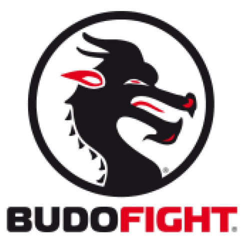 logo-budo-fight