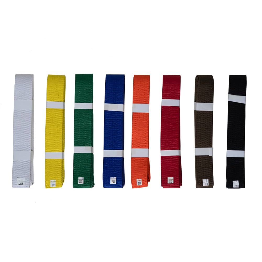 combien de ceinture au judo