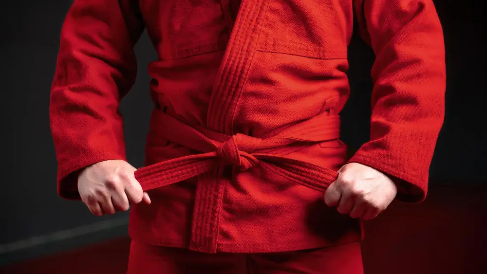 Combien de 6ème dan de judo en france ?